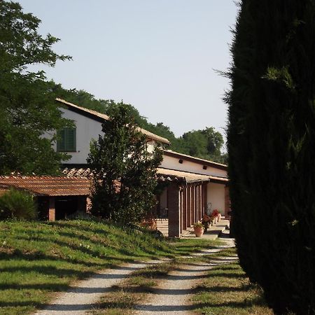 Casale Arcadia Orvieto Exterior foto