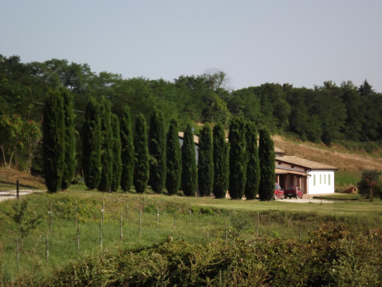Casale Arcadia Orvieto Exterior foto
